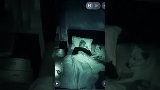 Invisible Force Strikes at Night &ndash; Dog Alerts to Unseen Threat #homemade  #invisibleforce