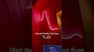 LED Neon Strip lights