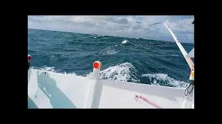 01-31-26 Taiwan fishing boat navigation 🧭 operation catch king mackerel using artificial bait #live