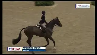Salinero 11/16/2025