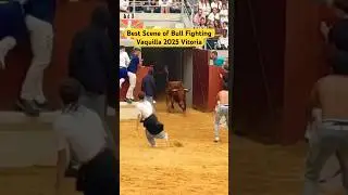 Best Scene of Bull Fighting Vaquilla 2025 Vitoria #shorts #best #scene #bull #fight #vaquilla #2025