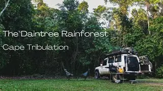 THE DAINTREE RAINFOREST | CAPE TRIBULATION | TOYOTA TROOP CARRIER | CAMPING | TRAVELLING AUSTRALIA