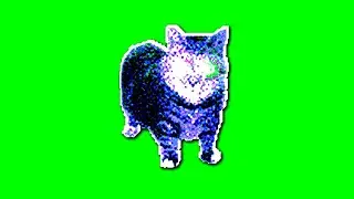 OIIA OIIA AURA Spinning CAT (Slowed)