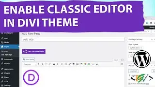 How to Enable Classic Editor in Divi Theme in WordPress
