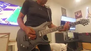 My Schecter SLS Evil Twin F/R/S