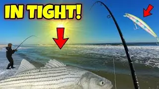 BEST NJ STRIPED BASS FALL RUN EVER! Non-Stop SP Minnow ACTION