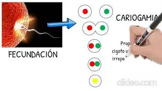cariogamia