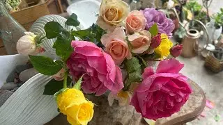 🦋加州蝴蝶有话说☕️ January 3, 2026 新年絮絮叨说给即将空巢的妈妈们听。爱自己，Live Your Life！ 