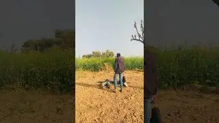 Krishna sunega || Dil Na Diya le beta || nice comedy funny video 2026 || #shorts #trending #viral