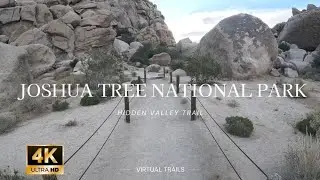Relaxing Walk at The Hidden Valley Trail at Joshua Tree National Park  - 4K Virtual Hike