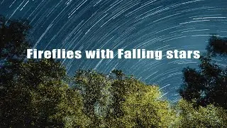 Timelapse | Fireflies with Falling stars