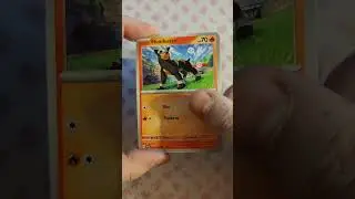 🌟 Pok&eacute;mon Karmesin & Purpur Opening! 🌟 #pokemon #boosteropening #paradoxrift #pokemontcg #cardreveal