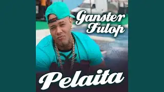 Pelaita