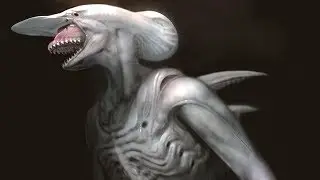 10 More Exotic Xenomorphs