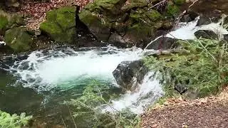 1 hour Gentle Stream Sounds - Relaxing Stream Sounds use for Relaxation, Sleep, insomnia