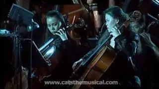 Cats Music Medley