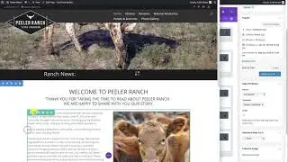 The very basics of Divi's Visual Builder