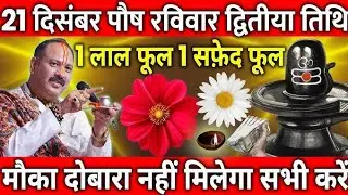 21 दिसंबर पौष रविवार द्वितीया के दिन 1 लाल फूल 1 सफ़ेद फूल वाला उपाय जरुर करे || Pradeep Ji Mishra 