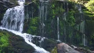 Quiet river 14 minutes meditation daily 🙏 Short meditation 🙏