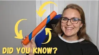 Fetch-tastic Fun: Chuckit Ultra Fetch Stick Unleashed!