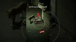 SHOCKING! 🦁 Lion Catches Man Sleeping on Road | Real CCTV Footage #shorts #maneater #lion