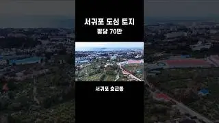 서귀포 호근동 도로접한 도심 가까운 1,059평 농지매매
