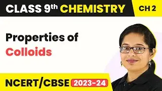 Properties of Colloids - Is Matter Around Us Pure | Class 9 Chemistry Chapter 2 | 2023-24