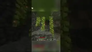 #cursedwalking #minecraft #reactii #romania #twitch #clips #gaming #streamer #gameplay