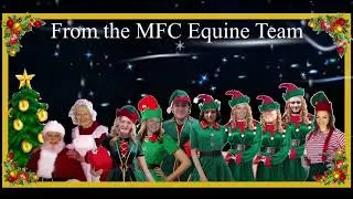 MFC Xmas 2020 add