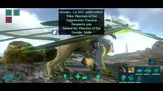 Full Griffin Tame - Private Server - ARK Mobile