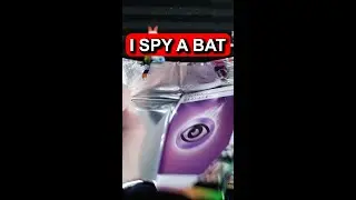 The Most Played Pokemon Card in the TCG (2020-2021)