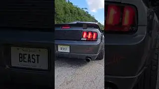 Supercharged 4.6 ford mustang s197. the beast