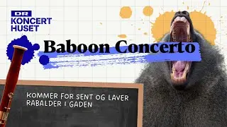 Baboon Concerto - Kommer for sent og laver rabalder i gaden // Klassisk for Noobs (explainer)