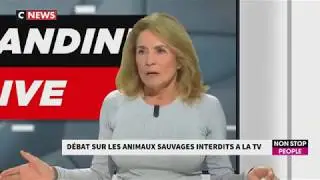 Morandini Live- Debat 
