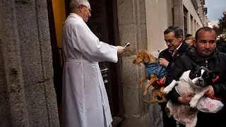 Madrid: cães e gatos abençoados com água benta