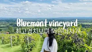 Bluemont vineyard I 경치맛집 와이너리 I 버지니아 여행 I Virginia