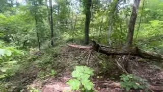 Lot 63 walk through of our land. Linden Tennessee.