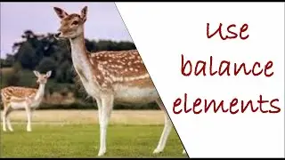 Use balance elements for photography frame #learnphotography #ajayphotography #shorts 🔥