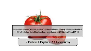 Improvement of Growth, Yield and Quality of Tomato Indeterminate Entries (Lycopersicon esculentum