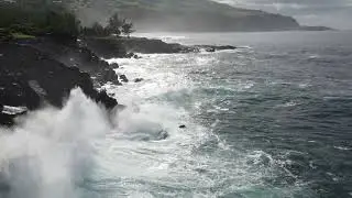 Le Cap jaune