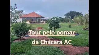 Tour pelo Pomar. Vida na Roça.