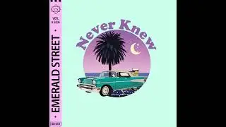 Never Knew (Deja Vu) by Emerald Street