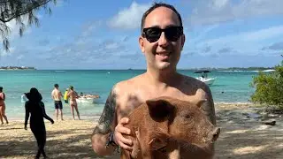 Swimming with the pigs ￼Bahamas ￼