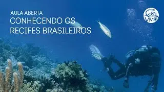 Conhecendo os Recifes Brasileiros