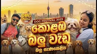 Dog Festival 2025 In Colombo Highlights & Best Moments! 🐾
