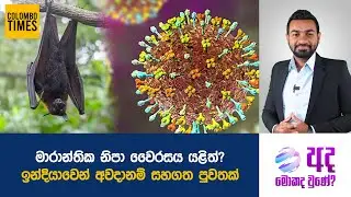 මාරාන්තික නිපා වෛරසය යළිත්? ඉන්දියාවෙන් අවදානම් සහගත පුවතක් | Deadly Nipah Virus Resurfaces Again