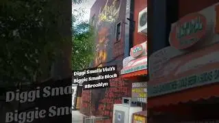 DiGDemetrice - Visit's The Notorious B.i.G Block & Mural iN Brooklyn Ny #trending #viral #shorts