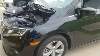 как найти место аварийного переключателя нейтральной передачи на Honda Odessy 2018 года