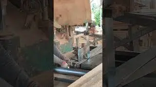 Mastering the Saw: Wood Sawing Techniques for Beginners