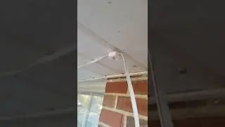 Govee Permanent lights install